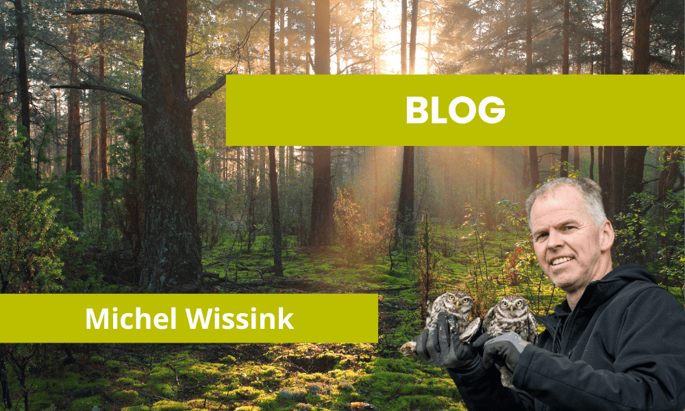 Michel blog